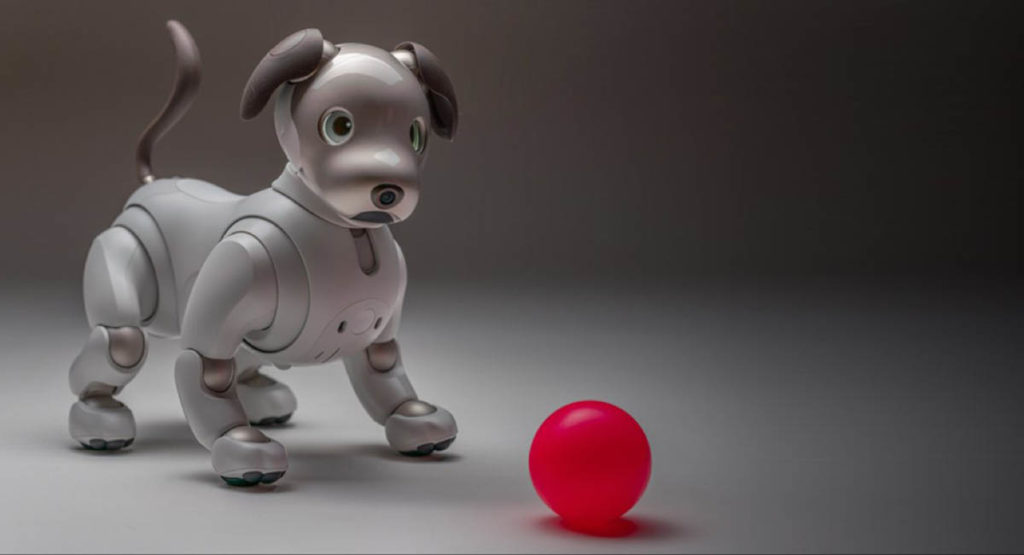 Sony Aibo Black Sesame Edition